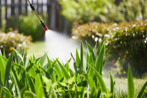 24/7 Emergency Mosquito Control experts in Hurley, MS