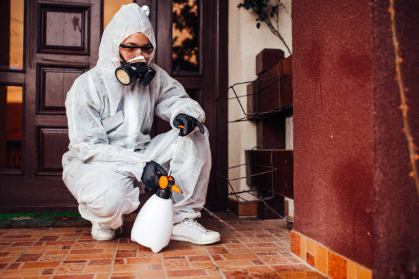 Reliable Mosquito Control contractor in Hurley, MS by Show Me Pest Control